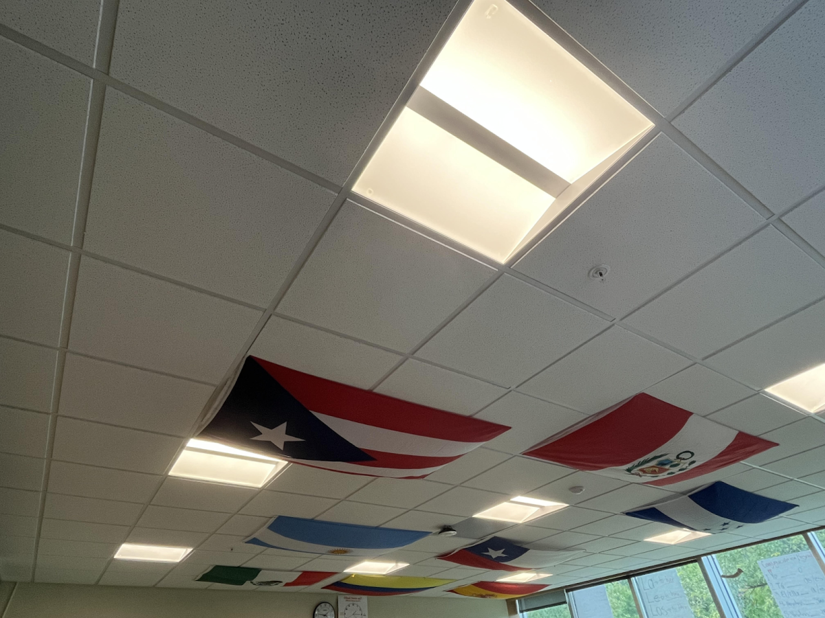 The flags in Juan’s Spanish Classroom. Each flag represents a country from which Rice Memorial High School has had an exchange or transfer student 