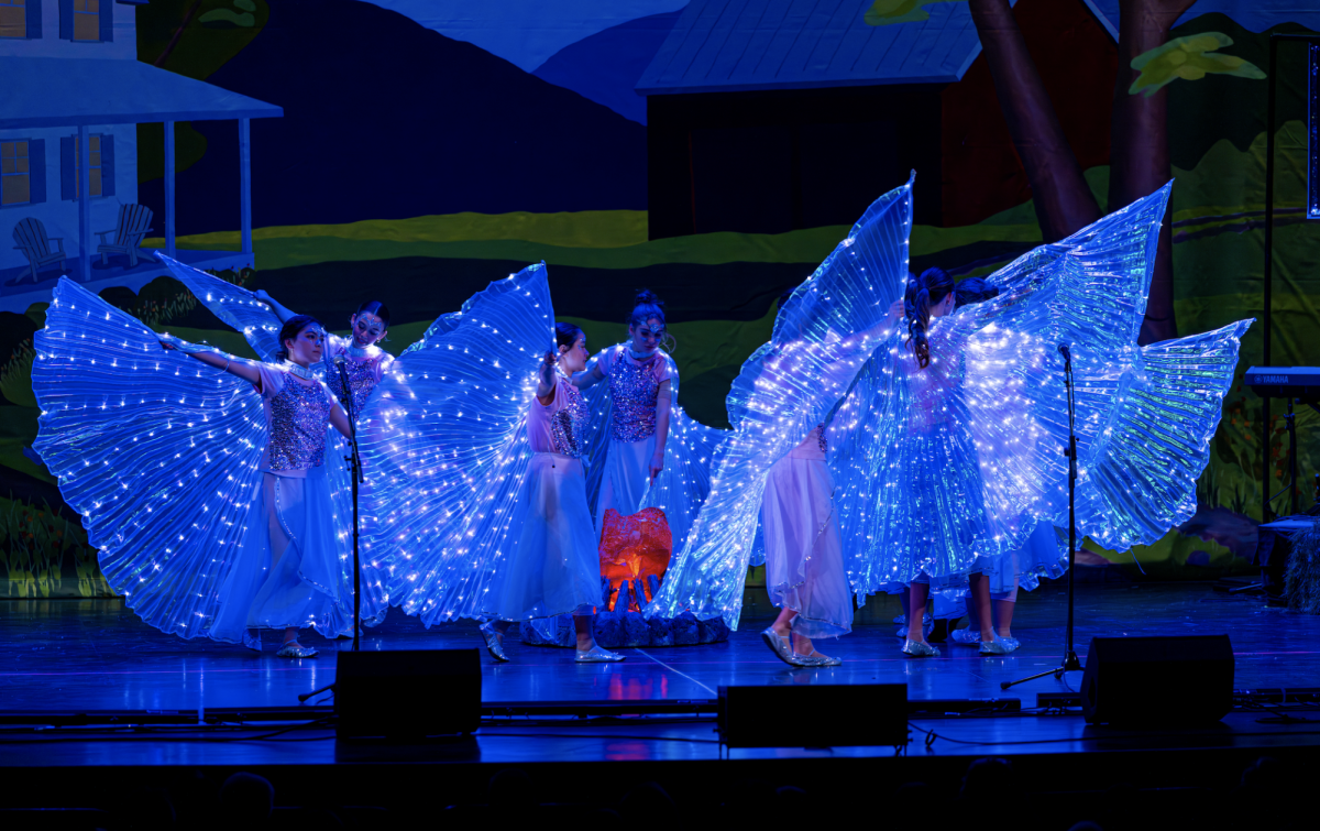 The "Fireflies" act at Rice Memorial High School's Stunt Nite. (Photo/Beltrami Studios)